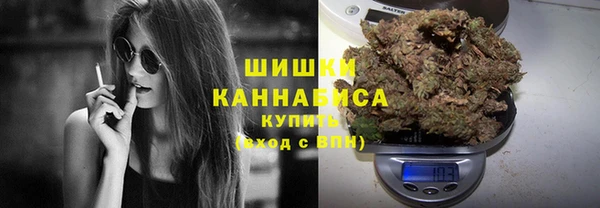 прущие крисы Бородино