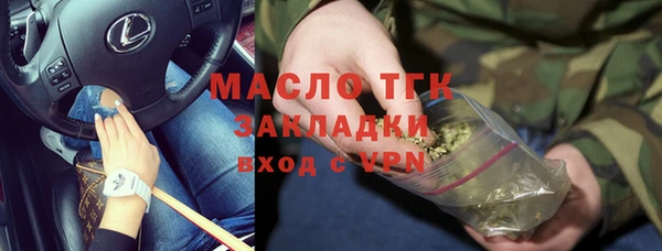 прущие крисы Бородино