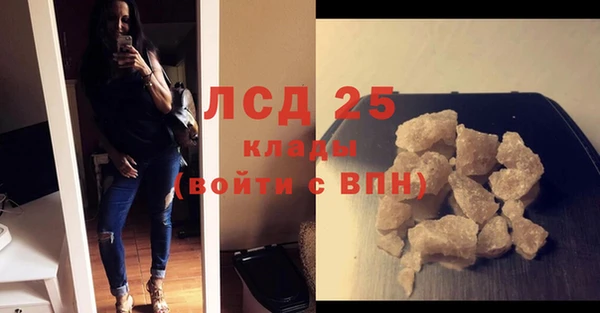 прущие крисы Бородино