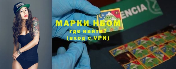прущие крисы Бородино