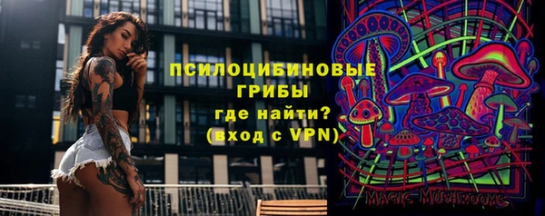 а пвп мука Бугульма