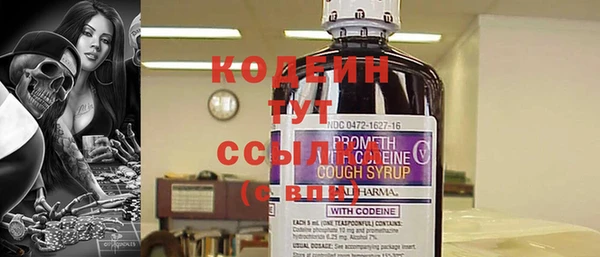 прущие крисы Бородино