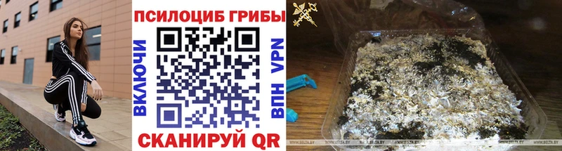 закладка  hydra как зайти  Галлюциногенные грибы Cubensis  Кириллов 